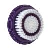 Face Brush - Plum